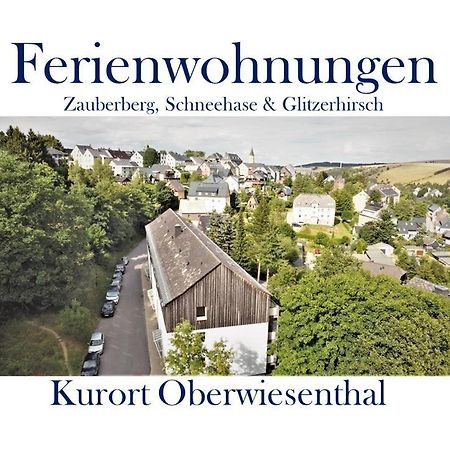Ferienwohnungen Zauberberg, Schneehase & Glitzerhirsch Oberwiesenthal Luaran gambar
