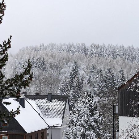 Ferienwohnungen Zauberberg, Schneehase & Glitzerhirsch Oberwiesenthal Luaran gambar