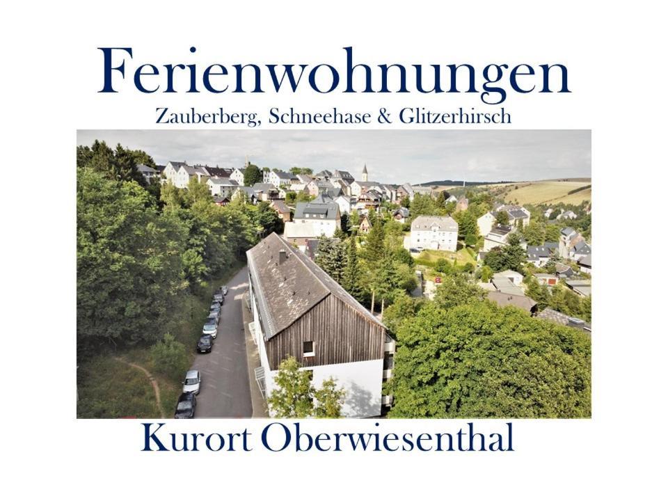 Ferienwohnungen Zauberberg, Schneehase & Glitzerhirsch Oberwiesenthal Luaran gambar