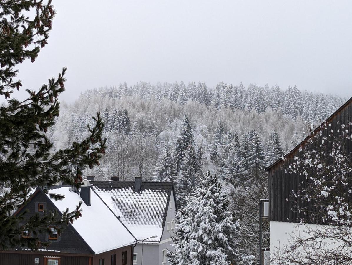 Ferienwohnungen Zauberberg, Schneehase & Glitzerhirsch Oberwiesenthal Luaran gambar